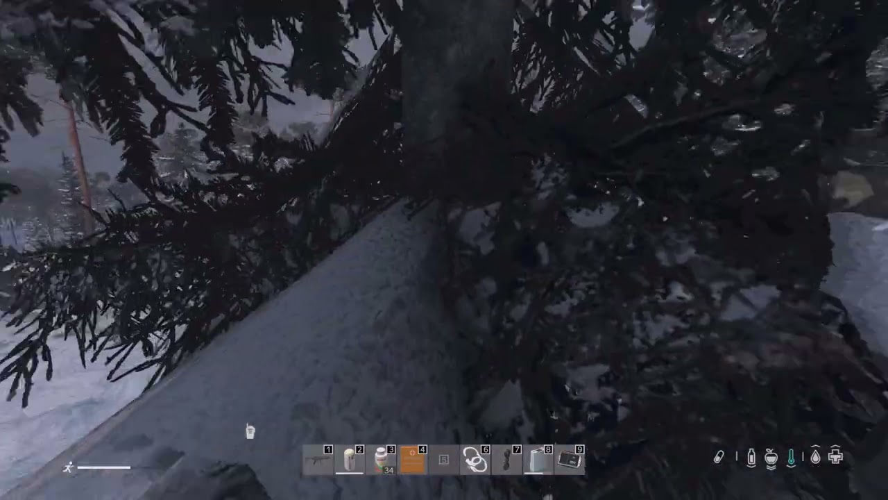 DayZ 2026 01 31   19 50 58 10 DVR