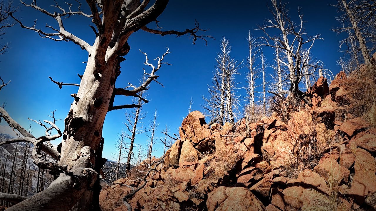 Blodgett Peak / Toughest Trail Hike In Colorado Springs 