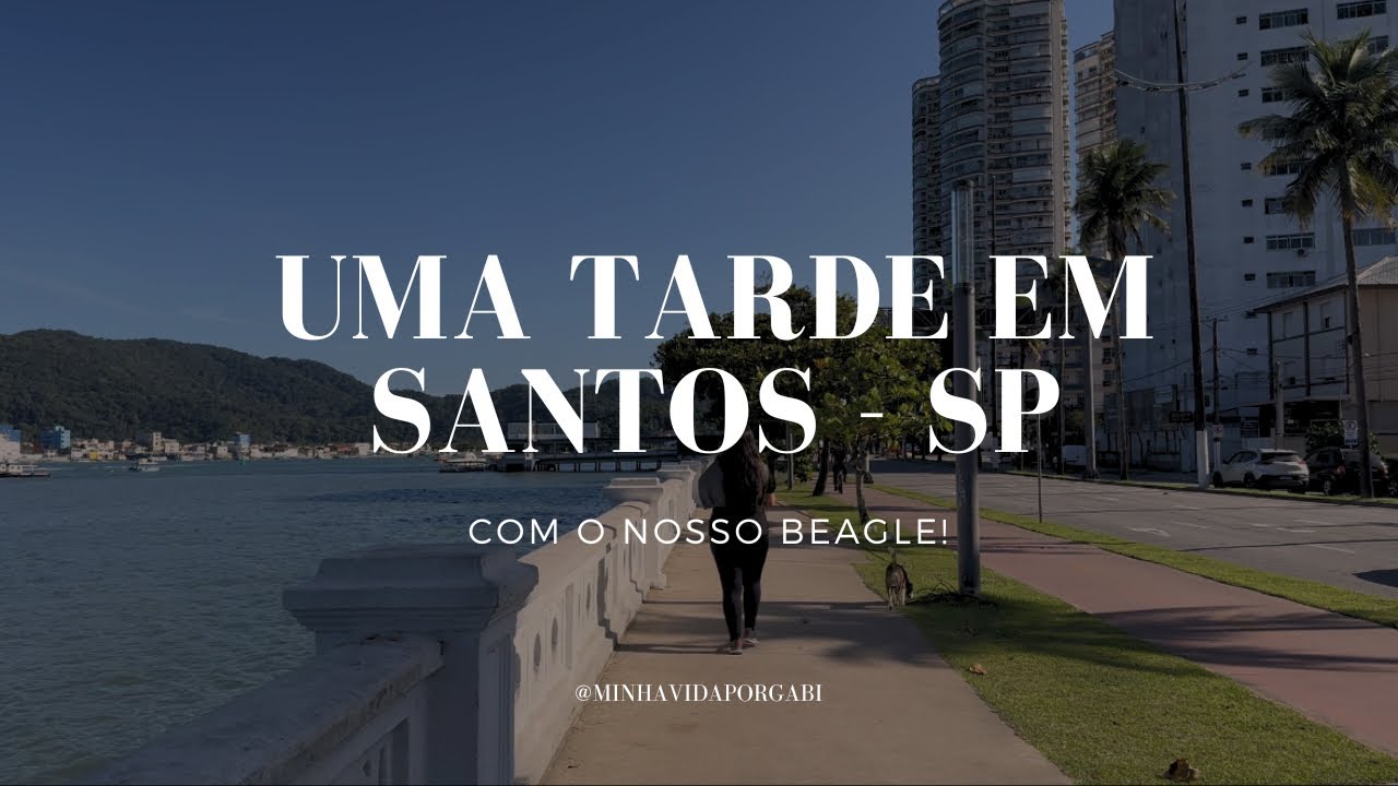Santos é uma cidade pet friendly? | Vlog