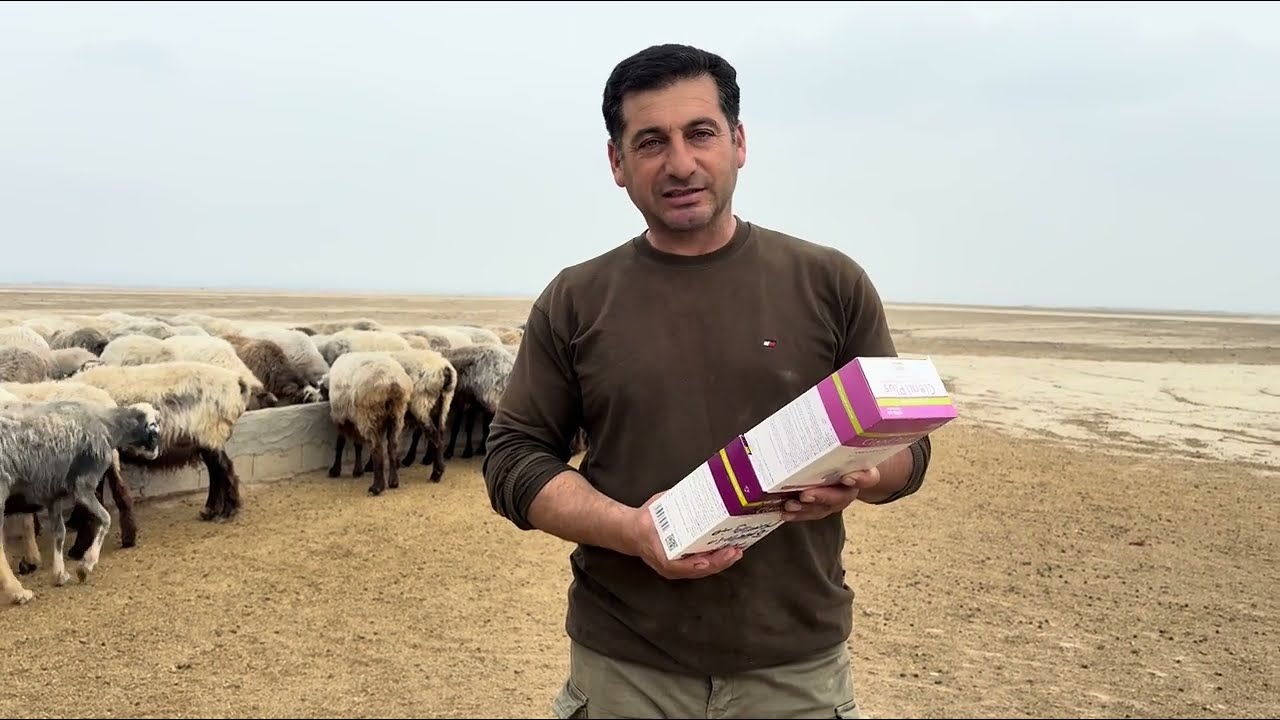 Say Goodbye to Parasites — Restore Health to Your Herd