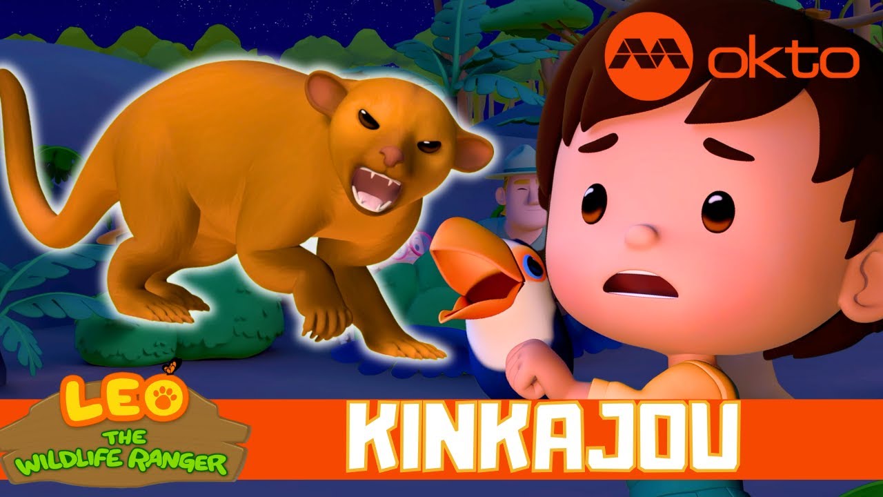 KINKAJOU Jungle RESCUE WILDLIFE ADVENTURE 🌴 | Leo the Wildlife Ranger Spinoff S6E20 | @mediacorpokto