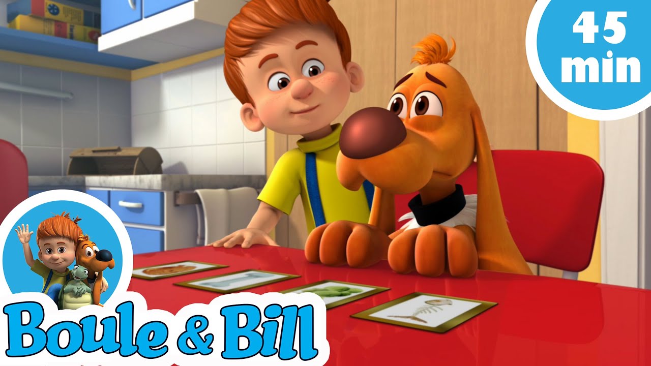 🥰 Boule et Bill, toujours là pour aider leurs amis 🙌 - Nouvelle compilation Boule et Bill FR