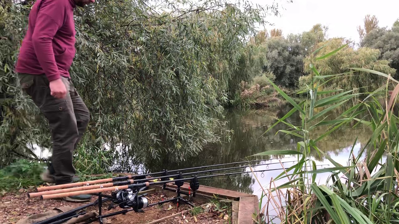 Nash Tackle Bushwhacker Baiting Pole Trial at East Delph Lakes