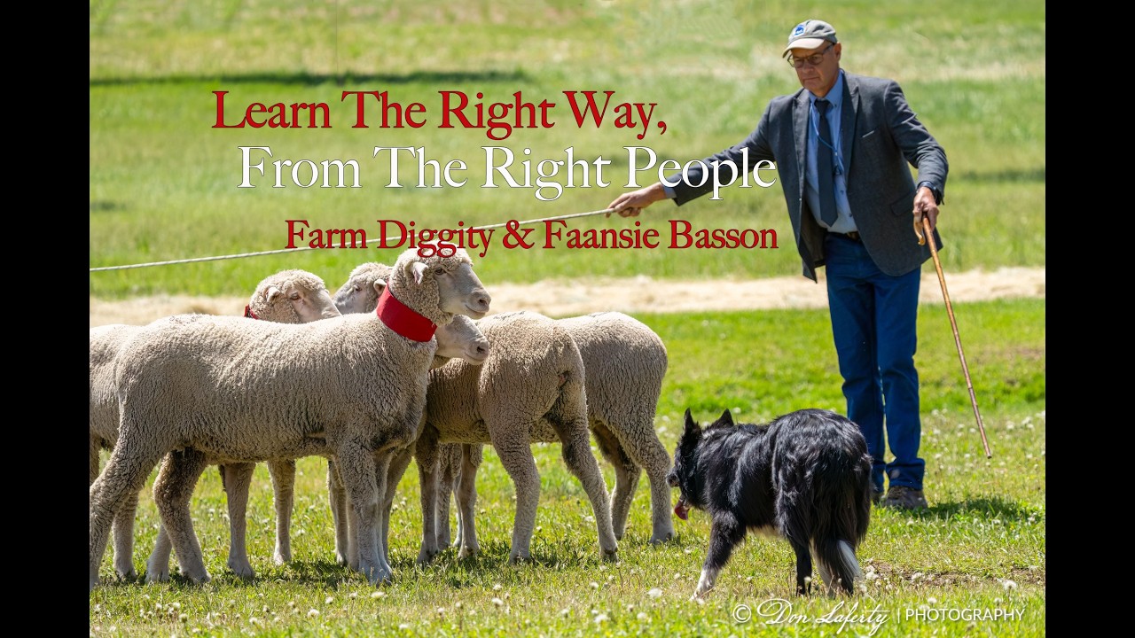 Learn The Right Way From The Right People