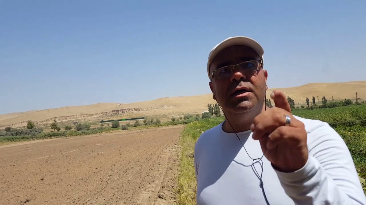 زراعة الزعفران واستثماره | Investment and cultivation of saffron