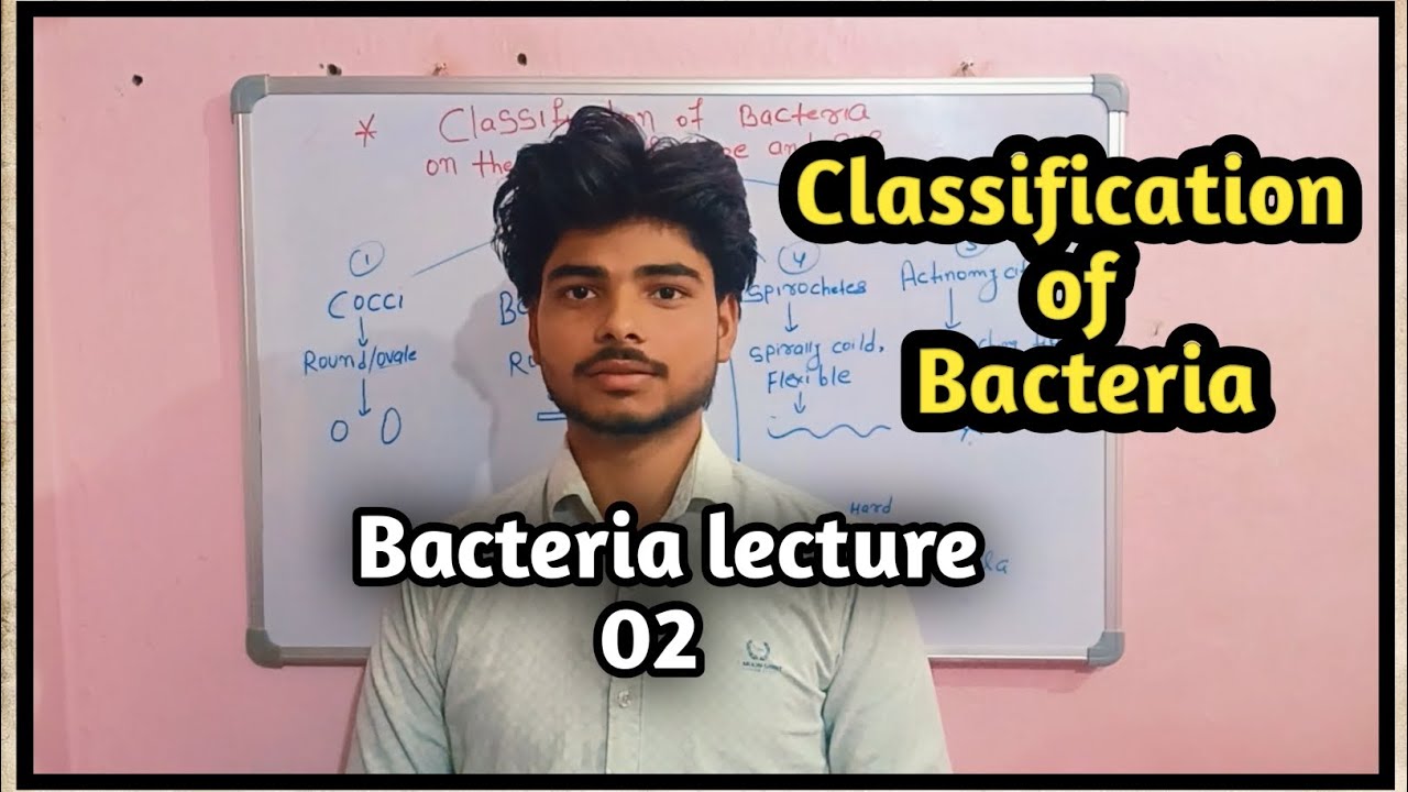 Classification of Bacteria 02 ll Microbiology 