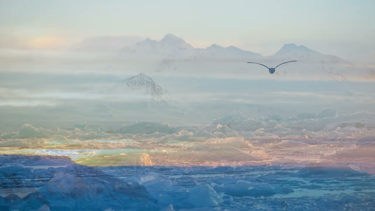 Arctic Silence (es)