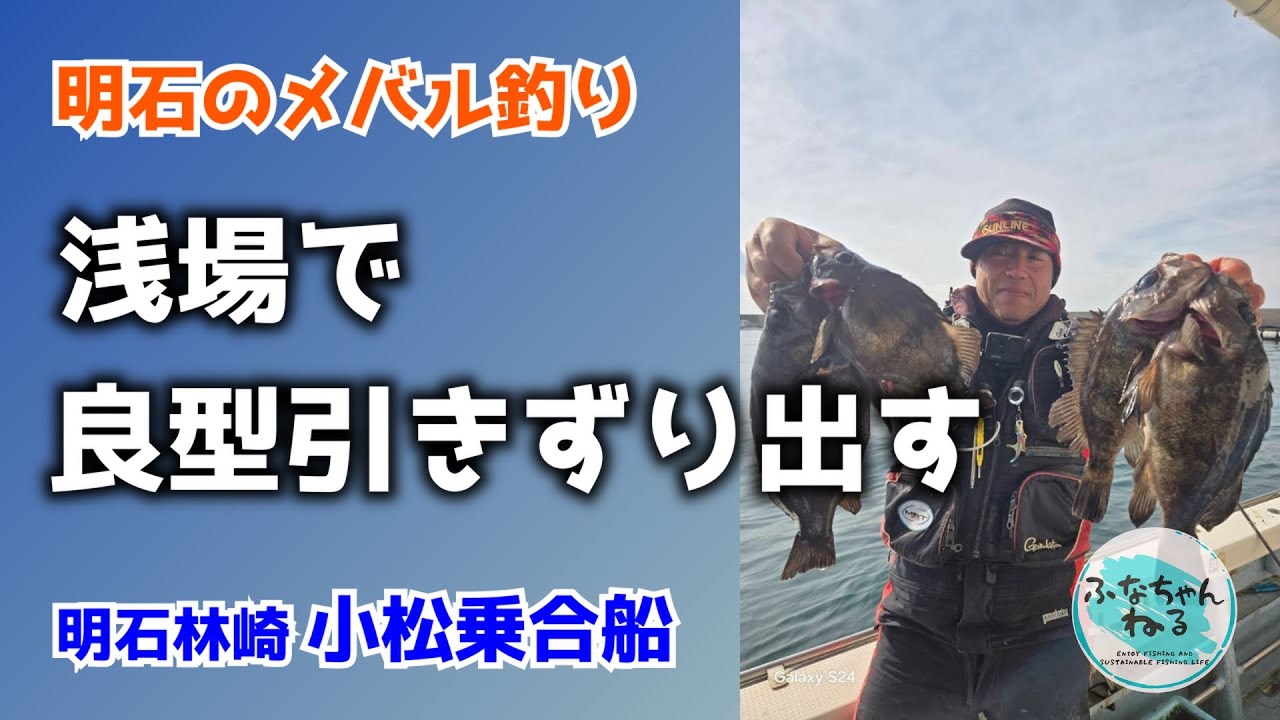 【メバル】明石沖の浅場攻略！良型黒メバルを見事ゲット！