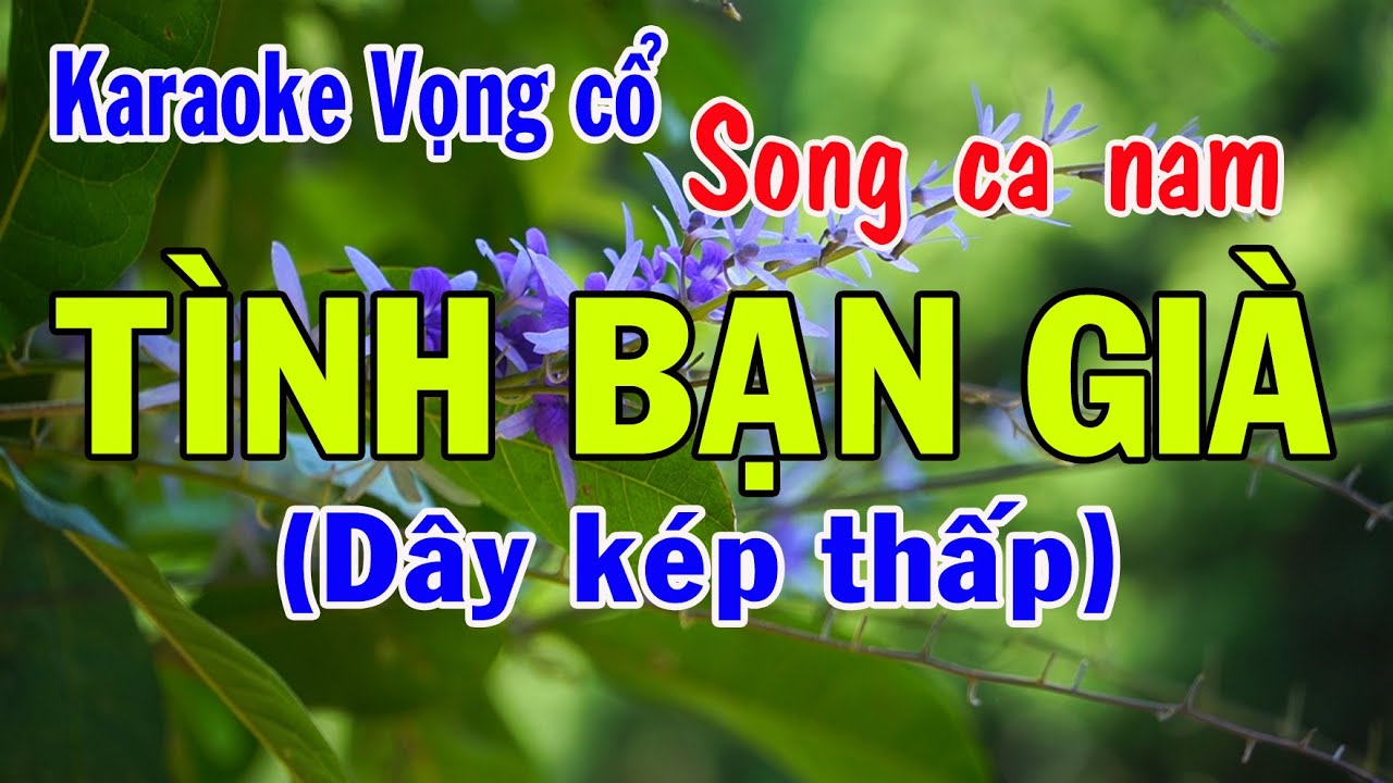 Karaoke vọng cổ TÌNH BẠN GIÀ- SONG CA NAM [Kép thấp] (T/g Thầy Thanh Vân)