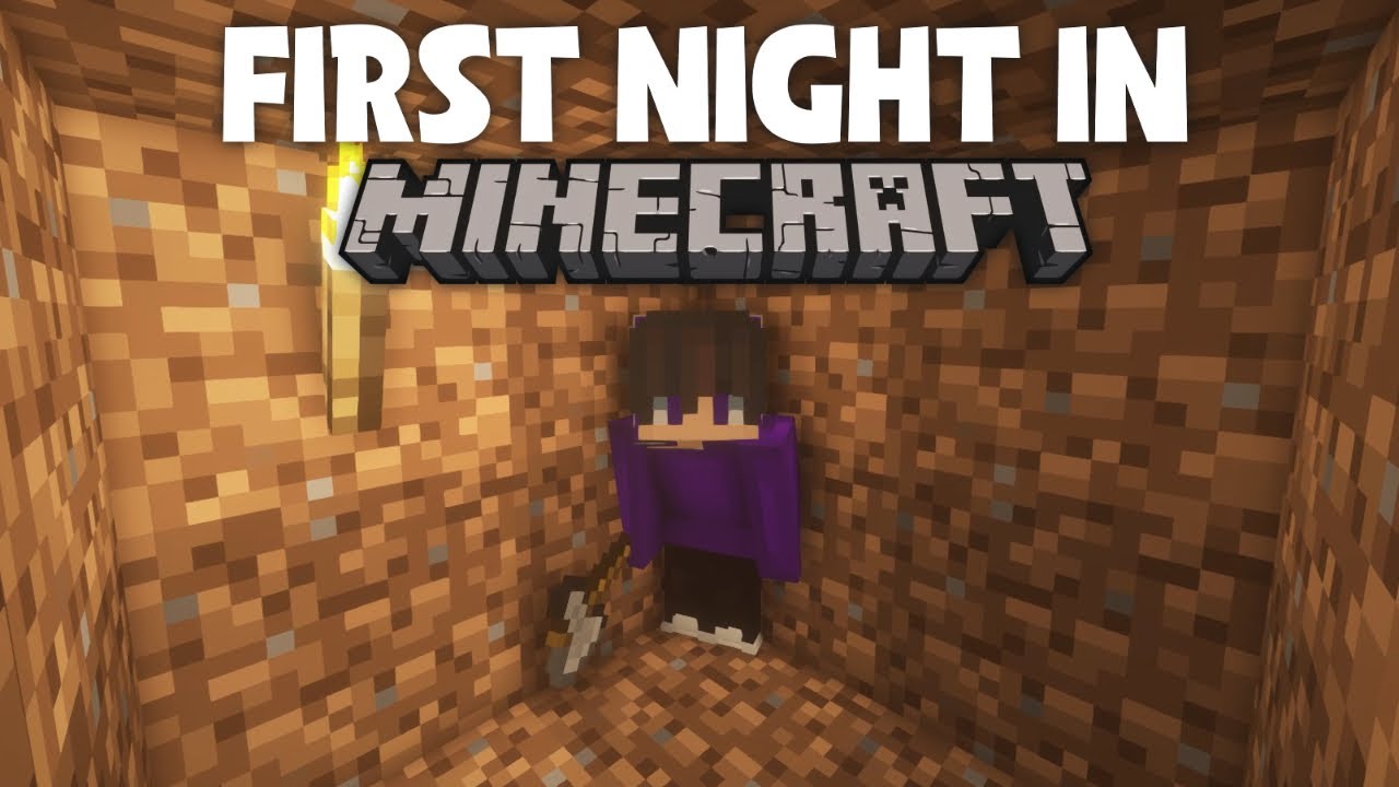 POV: Your First Night in Minecraft #shorts