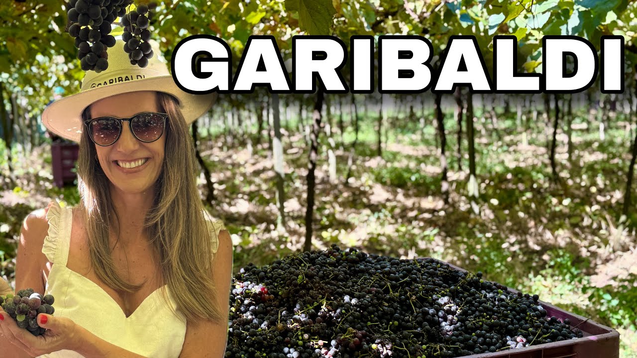 Visitando GARIBALDI na vindima - Pisa da Uva, Enoturismo e Gastronomia na Capital do Espumante 🍇✨