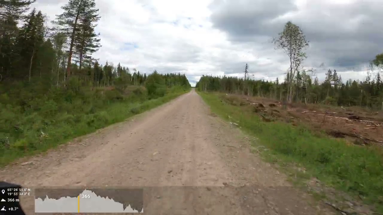 Riding some old logging roads in northerm Sweden.
