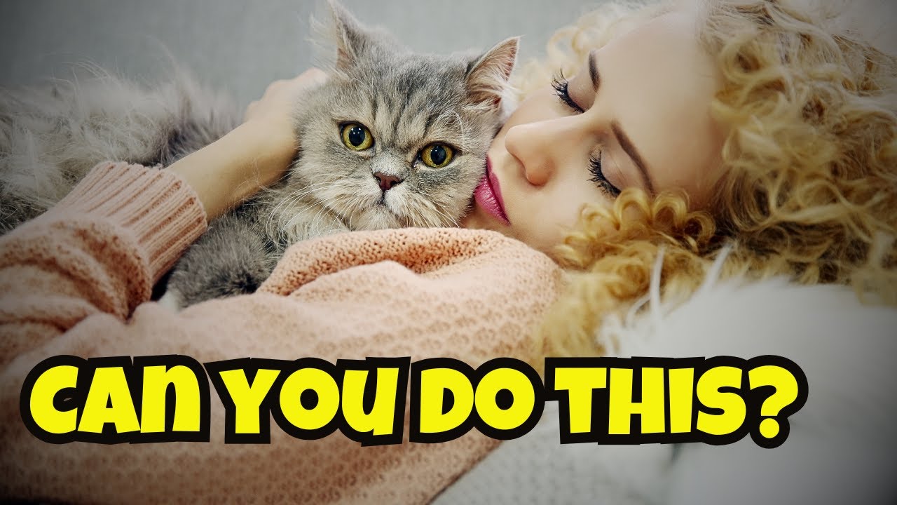 Does Your Kitty LOVE Cuddling You?