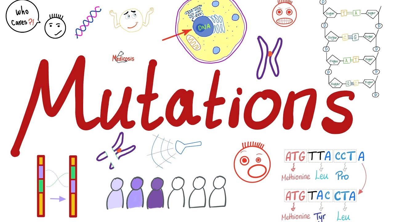 Types of Mutations | Changes in the Gene Pool | Genetic Drift | Biology 🧬