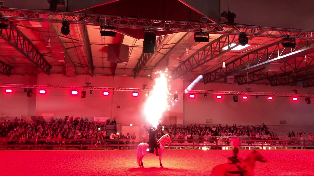 Ars Equitandi - Feuershow @Hund & Pferd 2017