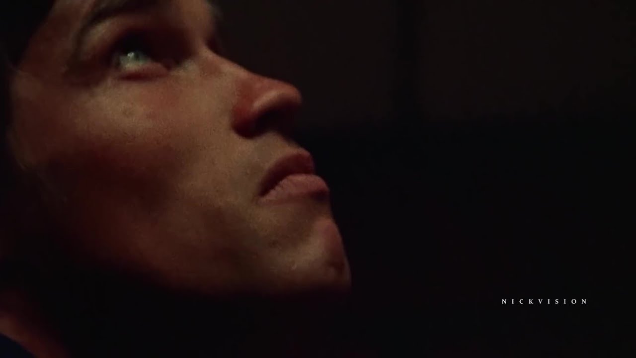 ARNOLD SCHWARZENEGGER | THE PERFECT GIRL |  (PHONK) - GYM MOTIVATION