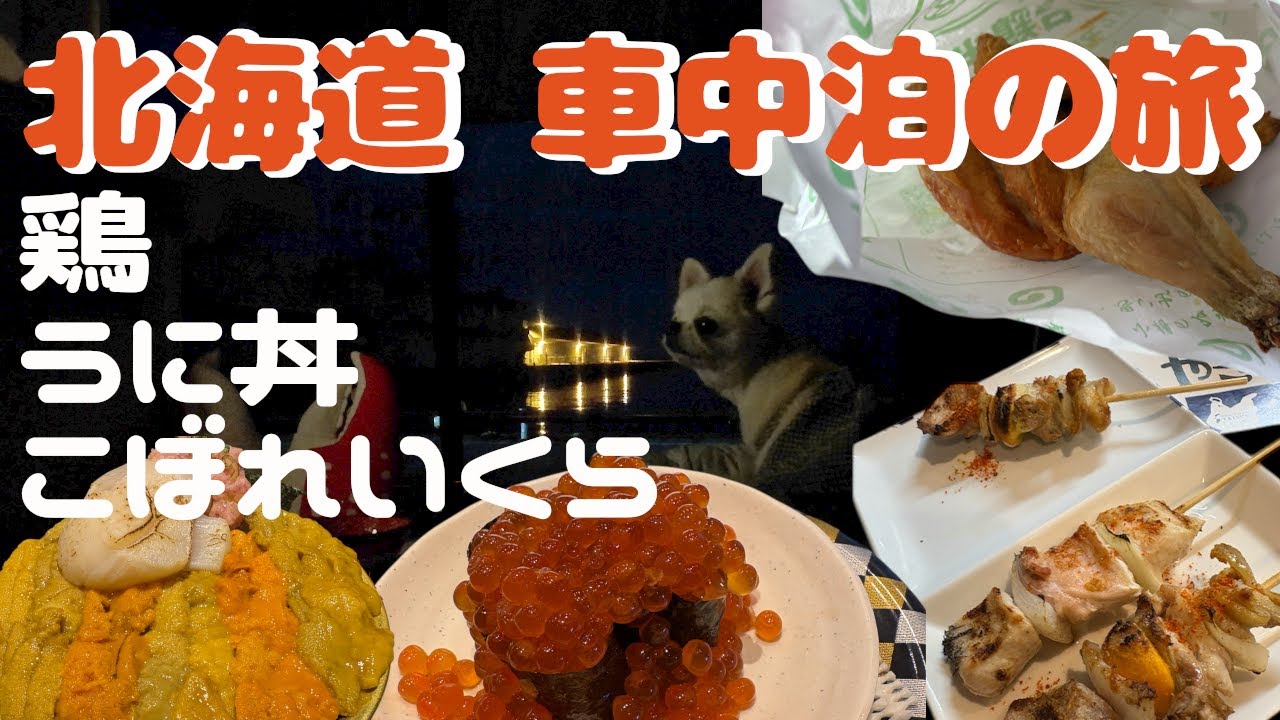 【北海道18日間の車中泊旅 #6】うに丼 こぼれいくら もつ焼き鳥 若鶏半身揚げ