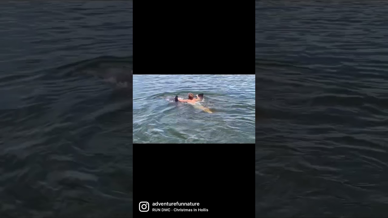 Swimming with Dolphins 