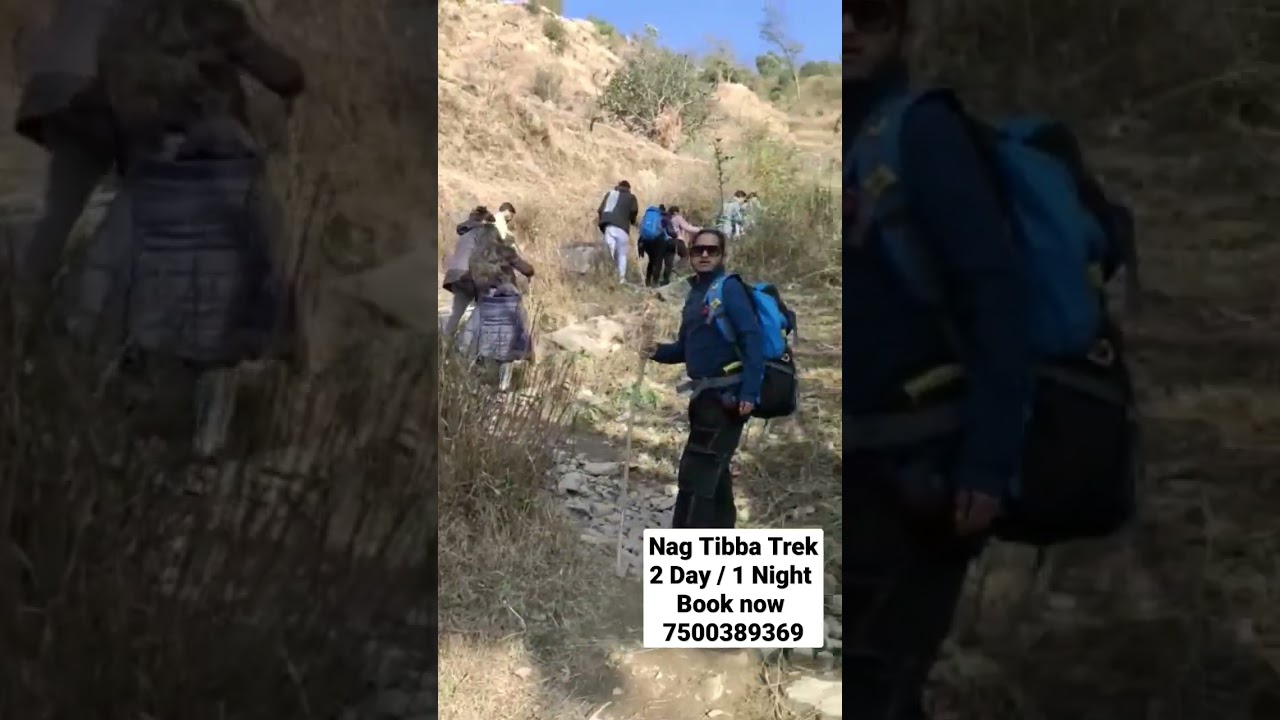 Nag Tibba trek Book Your slot for upcoming weekend call us 7500389369  #nagtibba #nagtibbatrek #trek