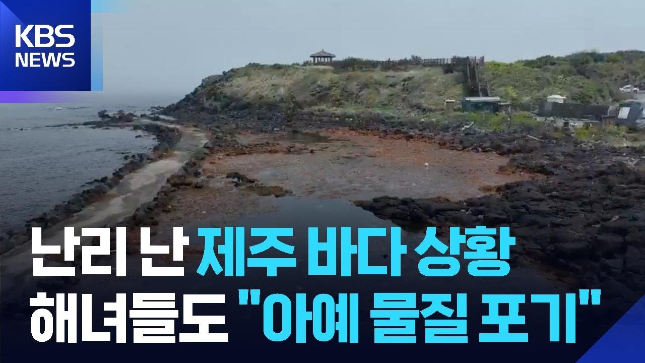 난리난 제주 바다 상황...해녀들도 아예 물질 포기 / KBS  2025.05.14.