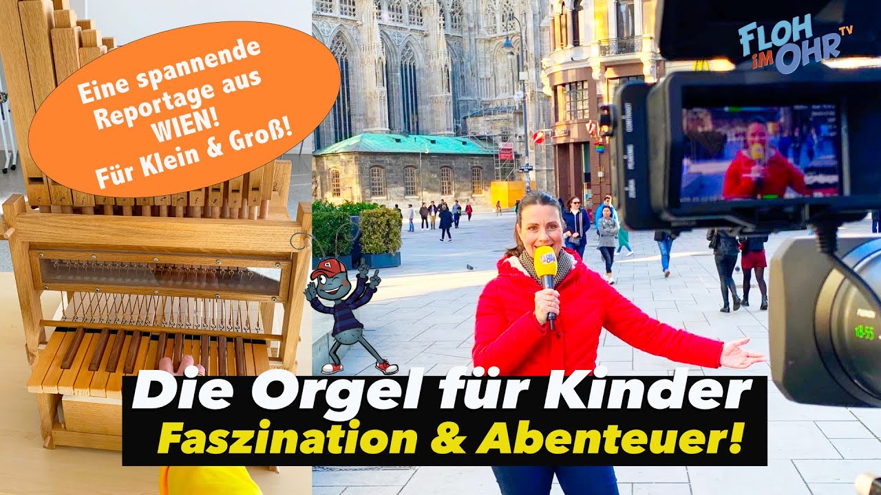 Die ORGEL für Kinder leicht erklärt | Reportage aus WIEN | Stephansdom | Floh im Ohr TV