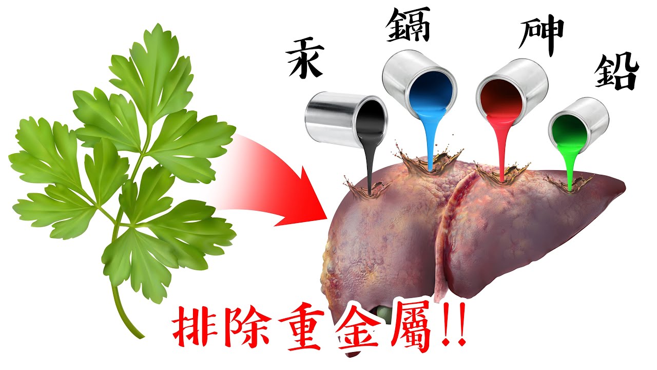 排出重金屬,最好5種草本食物,自然療法,柏格醫生 Dr Berg