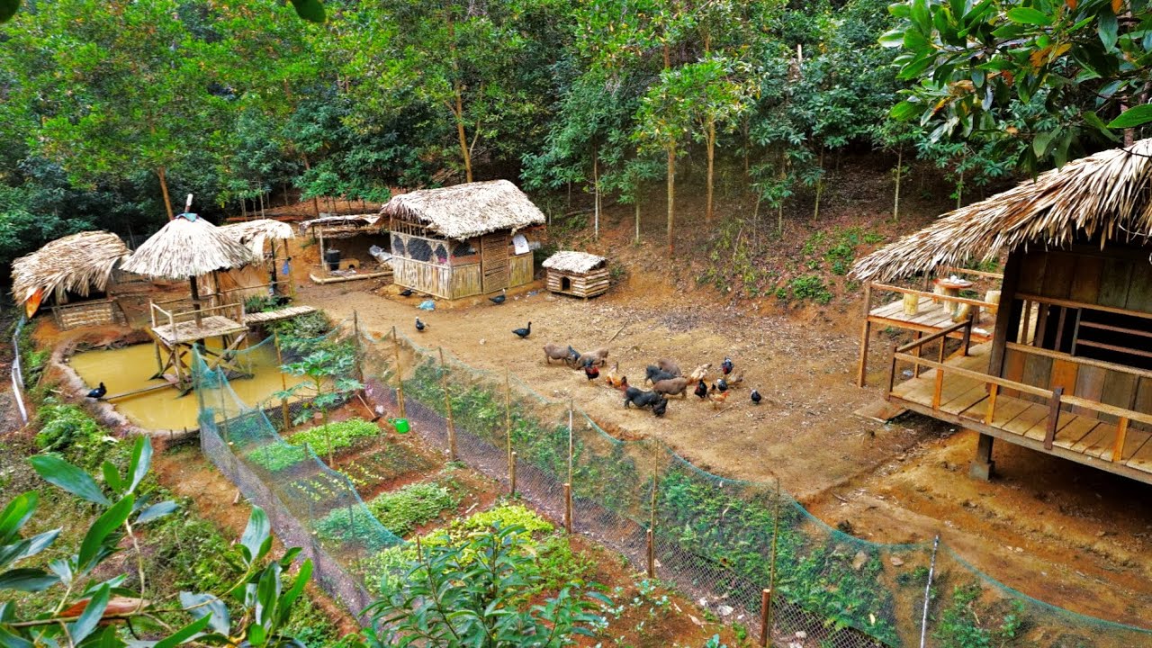 Full video: 360 Day of farm building, building life, farm life, Day 250