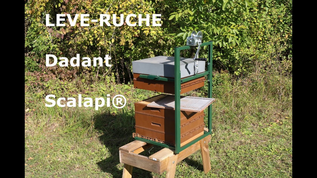 Lève ruche Dadant Scalapi®