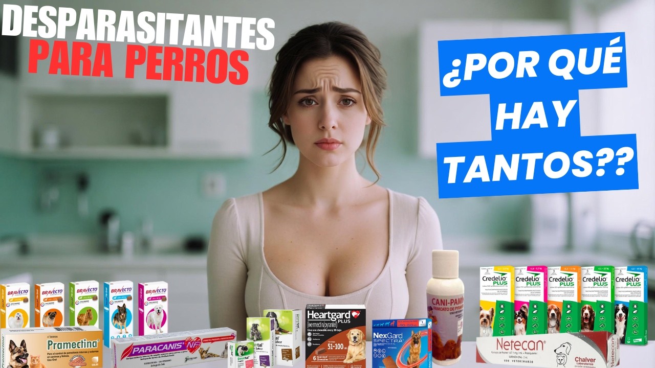 Desparasitantes internos y externos: ¿cuál necesita tu perro?