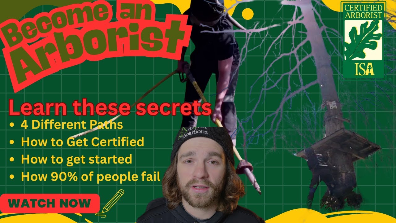 How to Become an Arborist in 2026: The Zero to Hero Roadmap