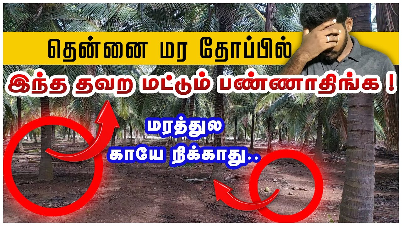 தென்னந்தோப்பில் செய்யும் ஒரு தவறு 4 பிரச்சனைக்கு காரணம் | TCG |