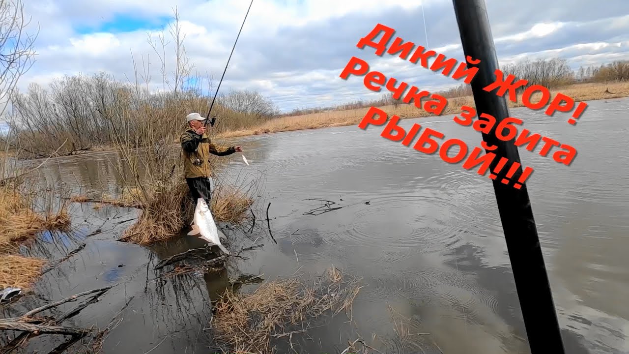 ЭХ! Рыбалка!!!Завистливым РЫБАКАМ не смотреть! Рыба пошла на ПОДЪЕМ, Кембрик РУЛИТ, Дикий КЛЕВ!