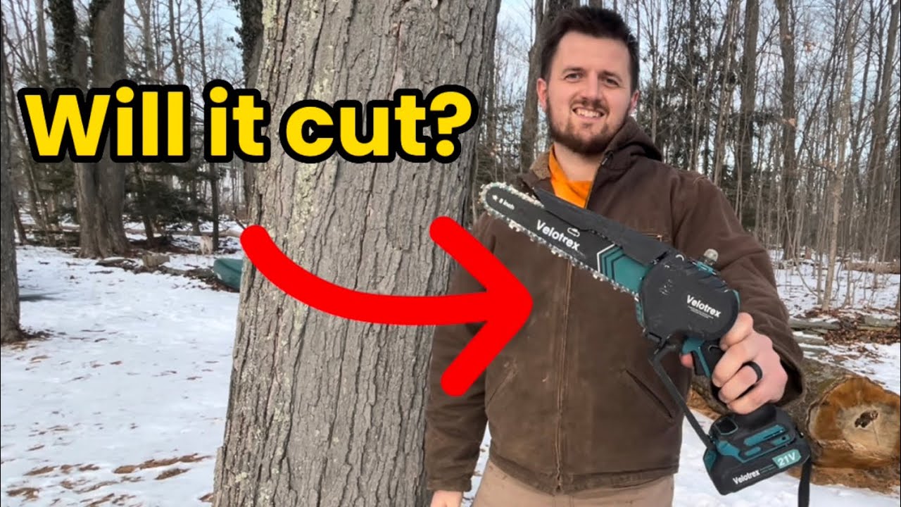 8” Mini Cordless Chainsaw vs. Large standing dead Red Oak