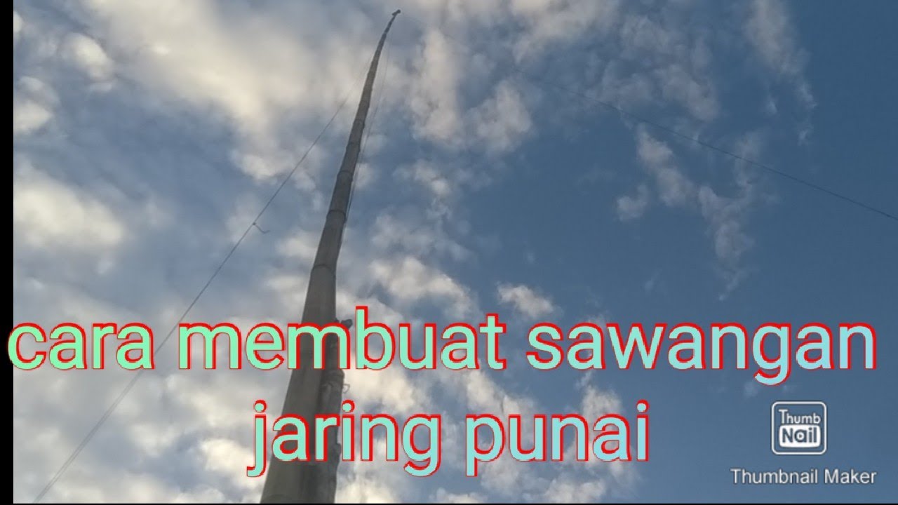Beginilah cara membuat tiang untuk menjaring punai agar point melimpah