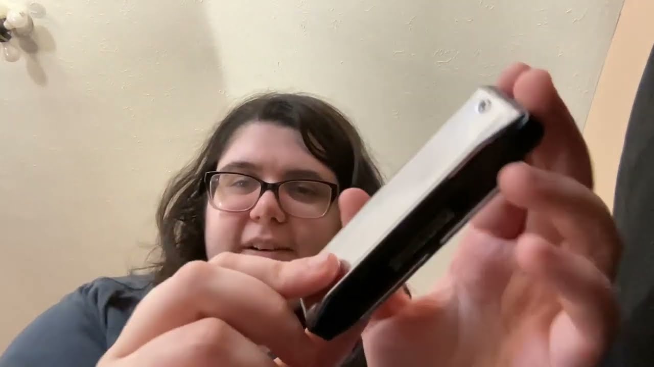Suzuki Bluesmaster Harmonica Review