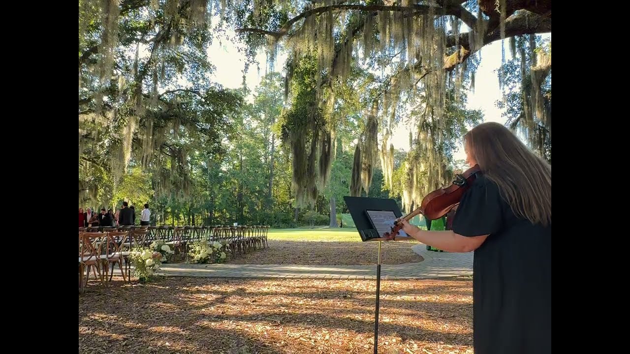 Everywhere, Everything Violin Cover, Noah Kahan 🎻🍂