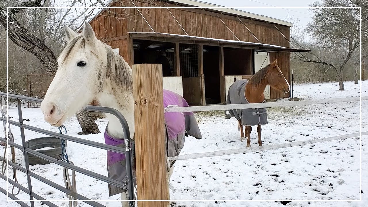 I've Never Seen This Before - Snow Covered Texas Farm