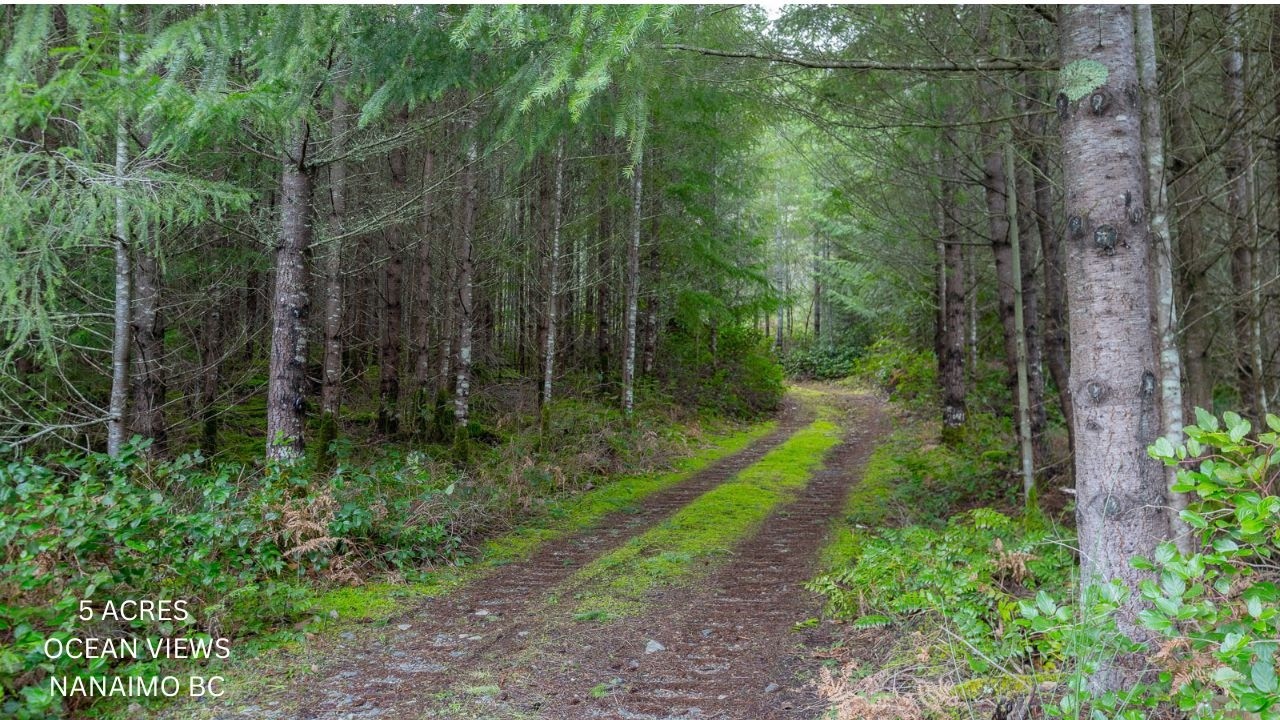 Nanaimo 5 Acre Lot for Sale | Ocean & Mountain Views | North Jingle Pot | Longview Place