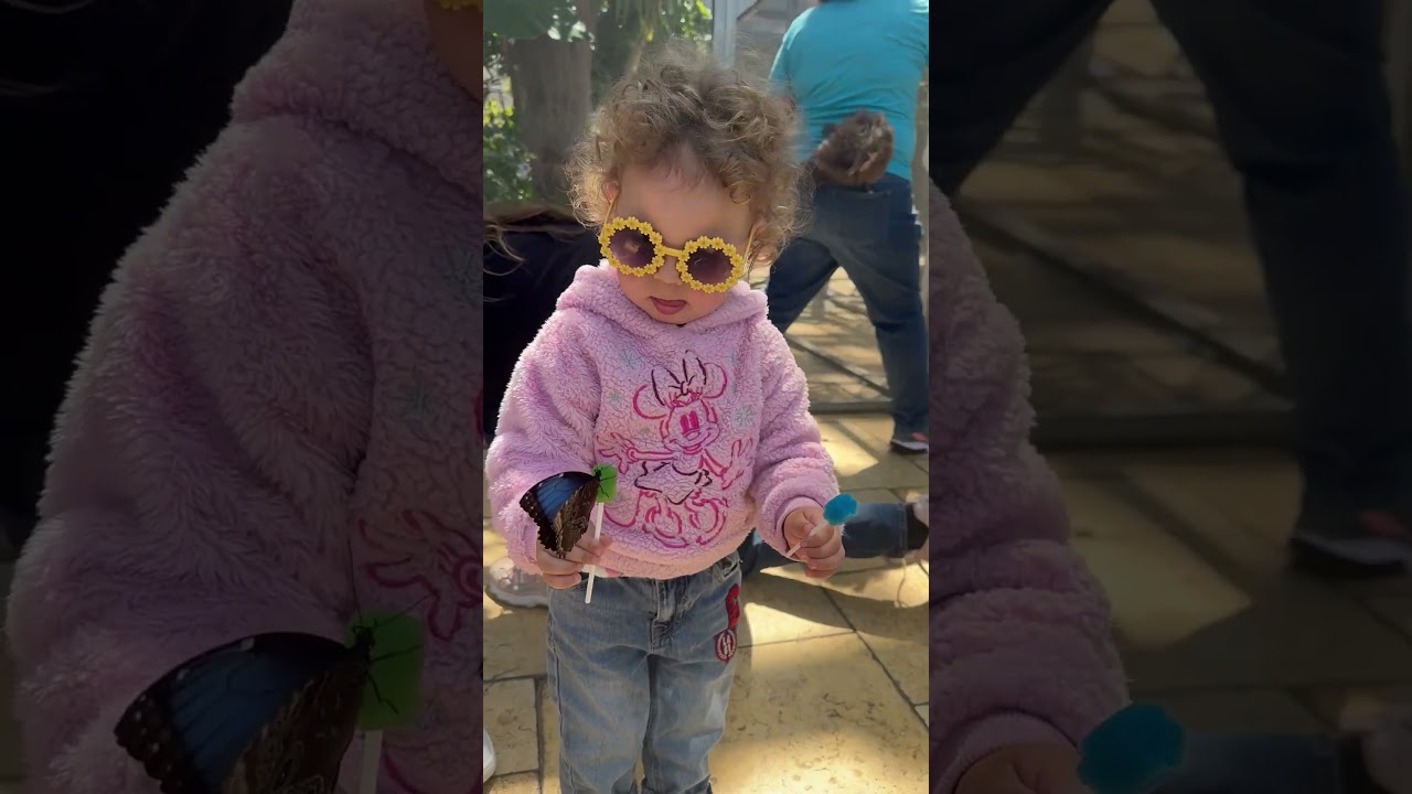 Lily was visiting the butterfly exhibit at the Nicholas conservatory & gardens in Rockford, IL