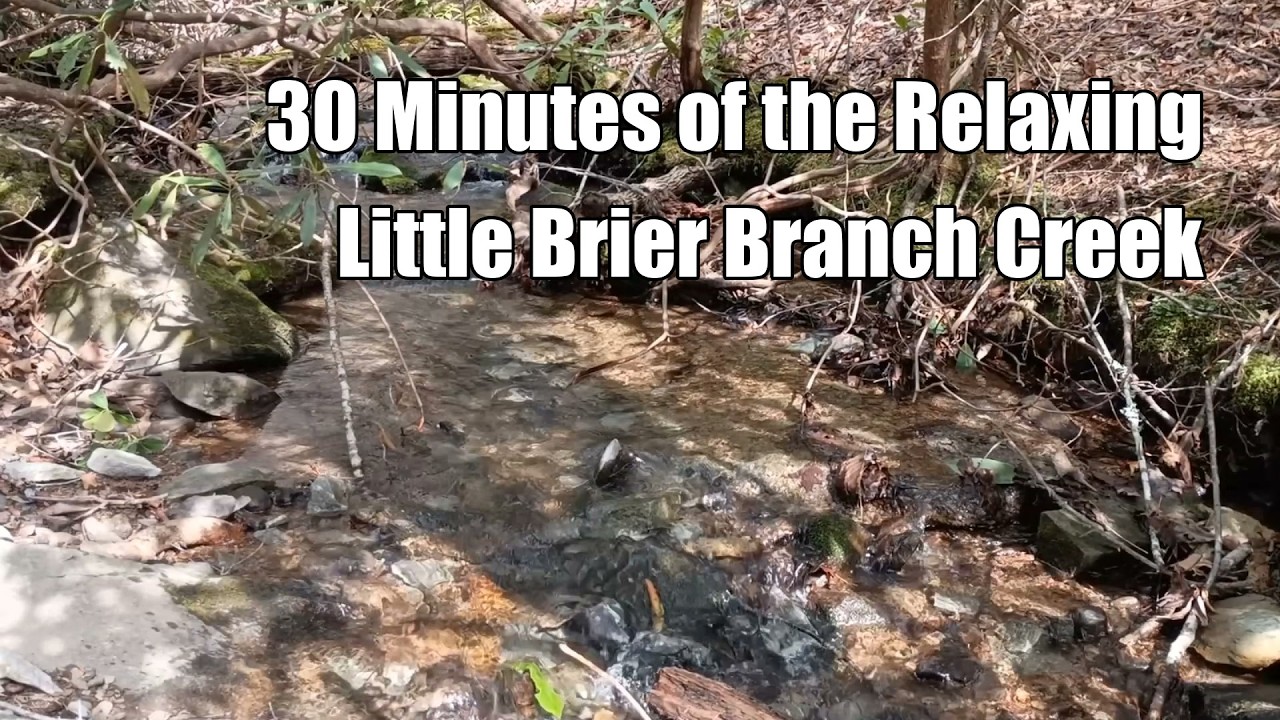 30 Minutes of the Relaxing Little Brier Branch Creek