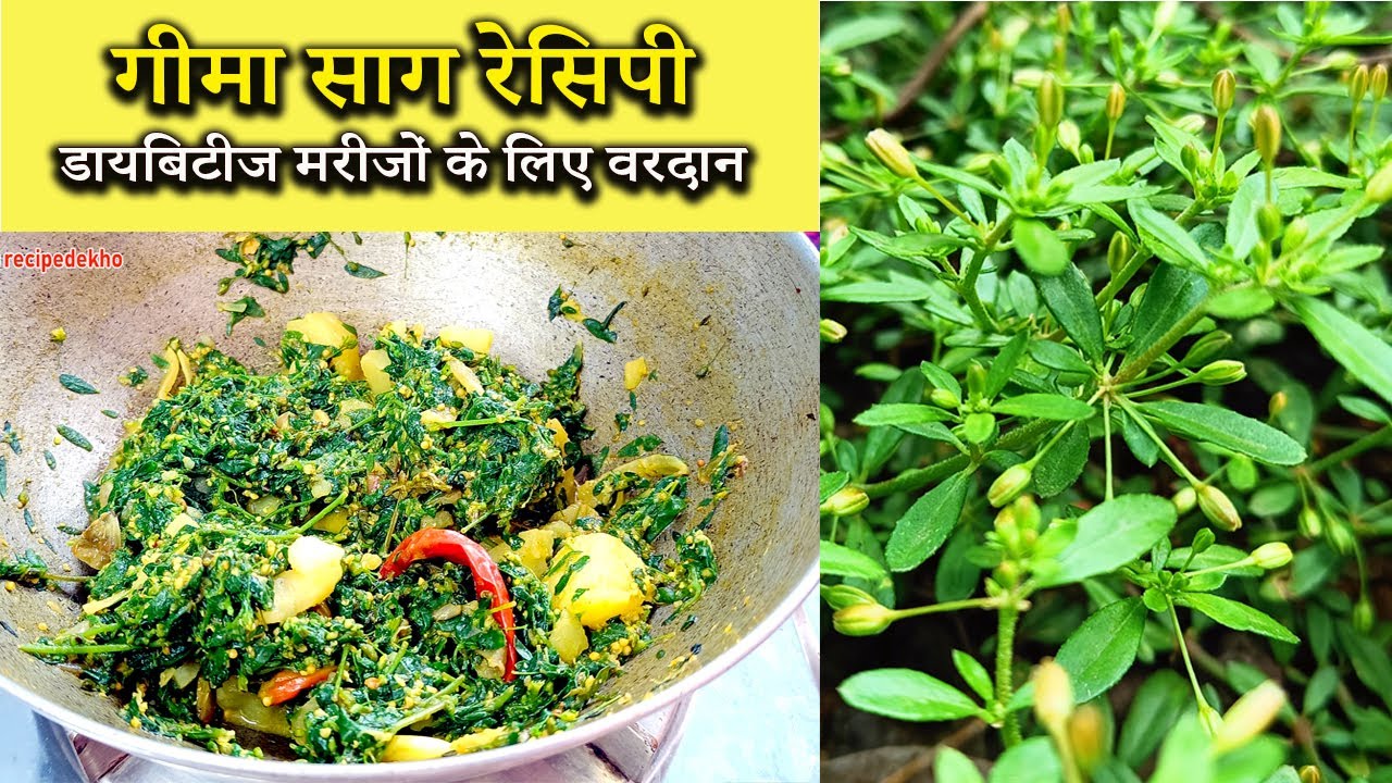 डायबिटीज का काल है ये साग Gima sag bhaji | Natural Sugar Control Recipe | Food for Diabetic