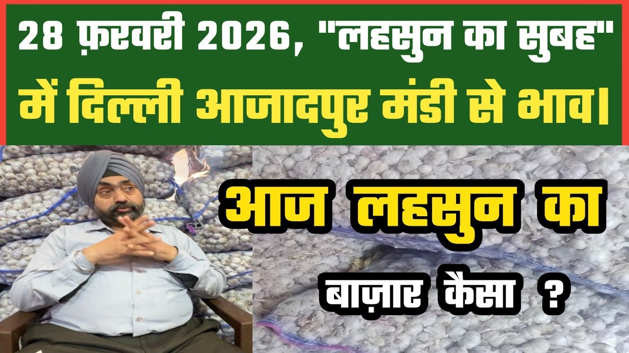 आज लहसुन में बाज़ार कैसा ? Azadpur Delhi Mandi Today 28-02-2026 को बने ऐसे Garlic Price DMT TV