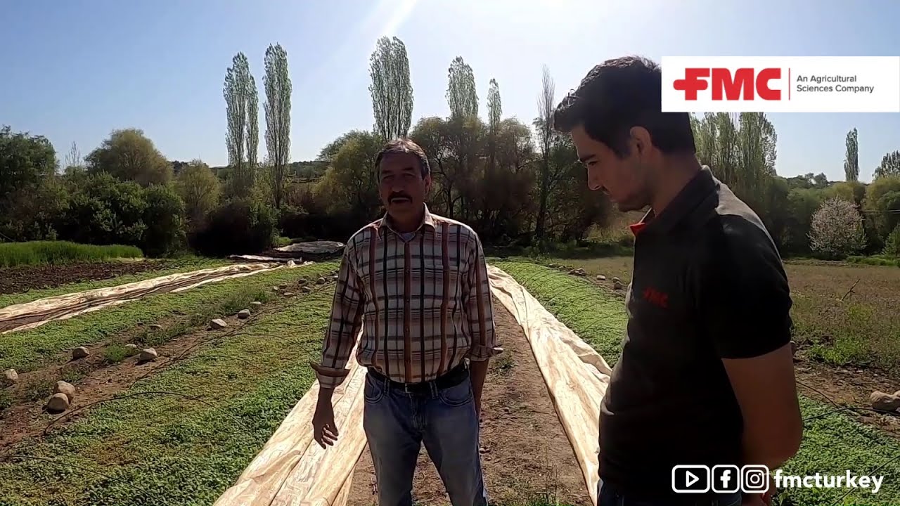 FMC Yollarda / Manisa / Tütün Uygulamaları / Accudo®