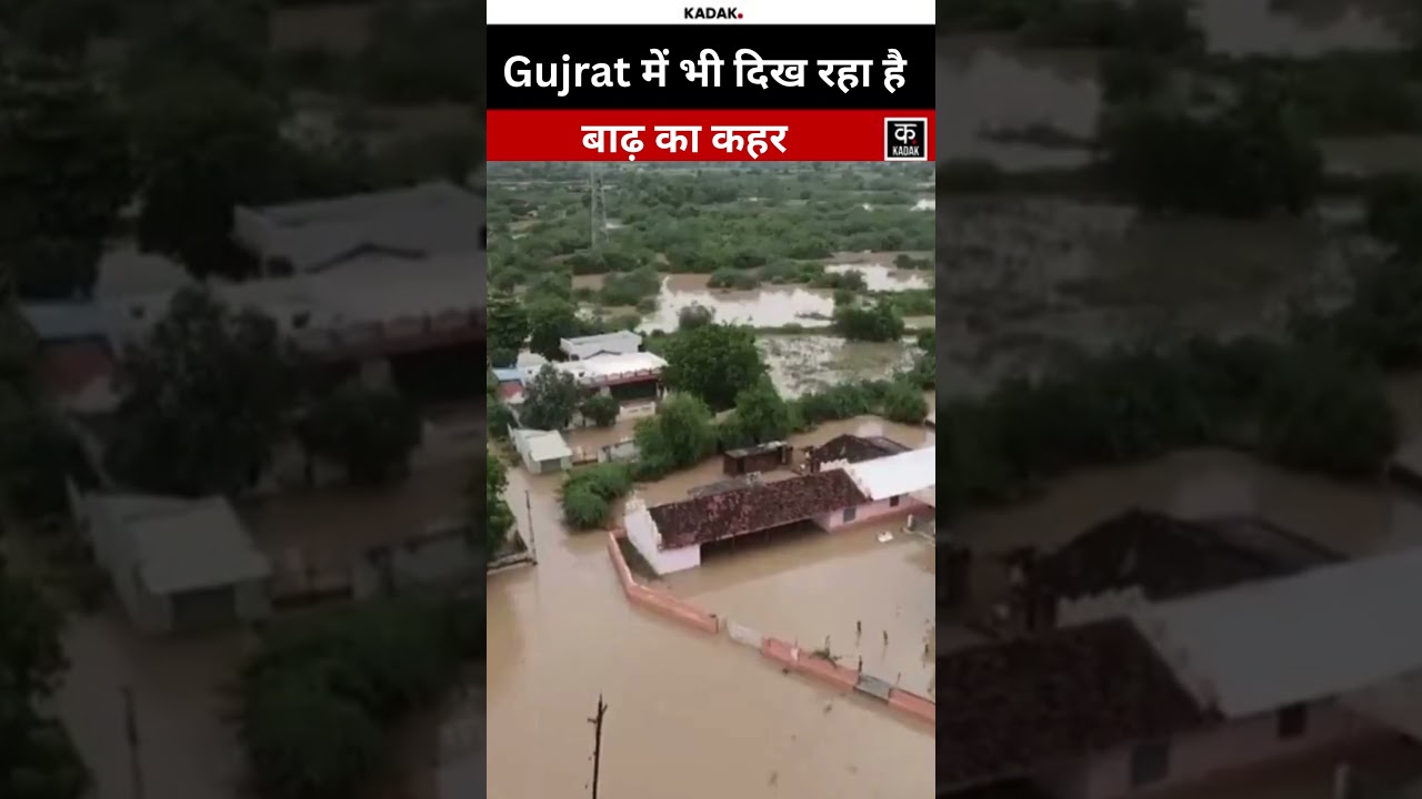 Gujrat Flood: भारी बारिश से सुइगाम गांव में भीषण बाढ़! #shorts #kadak