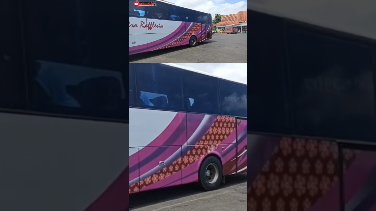 Masuk Terminal Simpang Nangka Curup #putrarafflesia #busmania #csh88 #penyubalap
