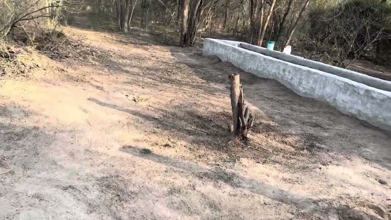 ਅੱਜ ਕੀਤੀ ਆਪਾ ਪਾਣੀ ਵਾਲ਼ੀ ਖੇਲ ਦੀ ਸਫ਼ਾਈ 🐂🧹 #viral #youtube #cow #cleaning #reels #punjabi #vlog #farm 