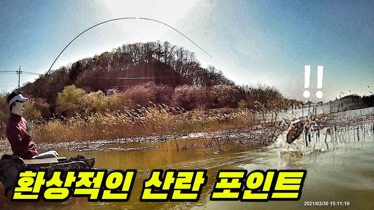 43cm 붕어를 걸었는데.... 산란철 붕어낚시~!