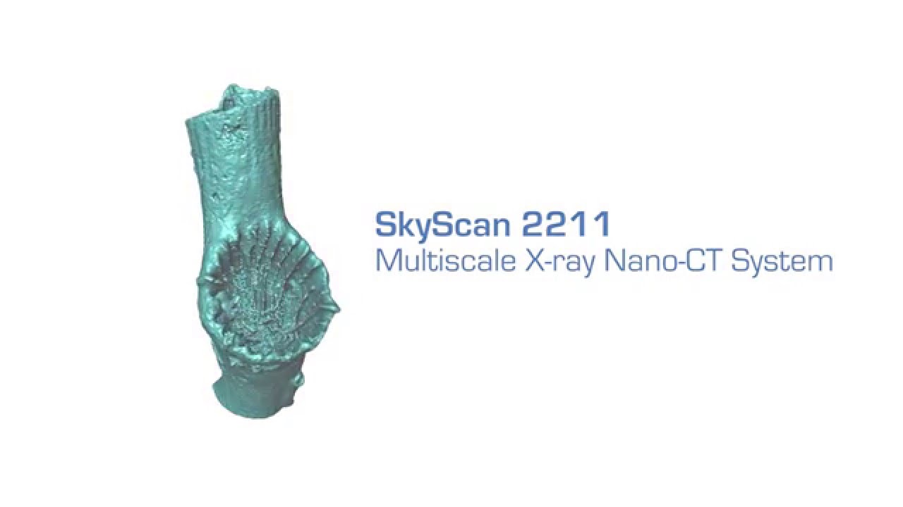SkyScan 2211 - Multiscale X-ray Nano-CT System