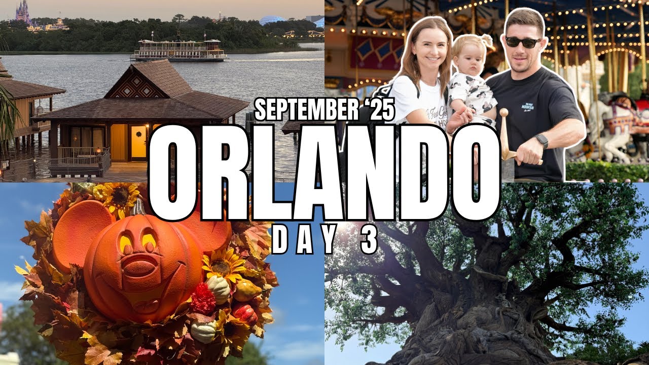 🏰 MAGIC KINGDOM & ANIMAL KINGDOM 🐆