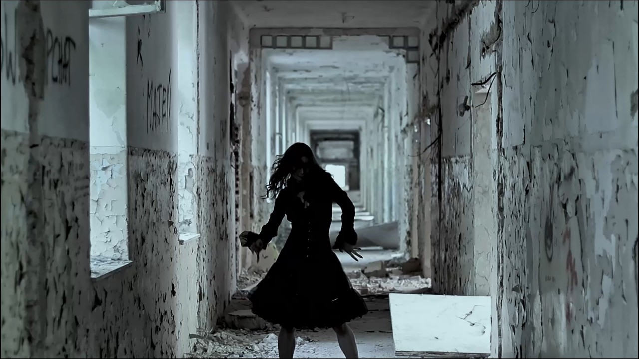 Kamil Almond - MORFOLOGIA